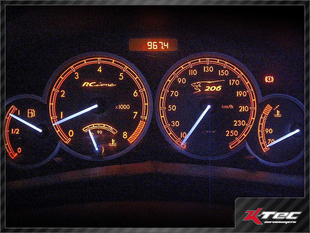 Peugeot 206 rc r evo e b   -  (Peugeot)